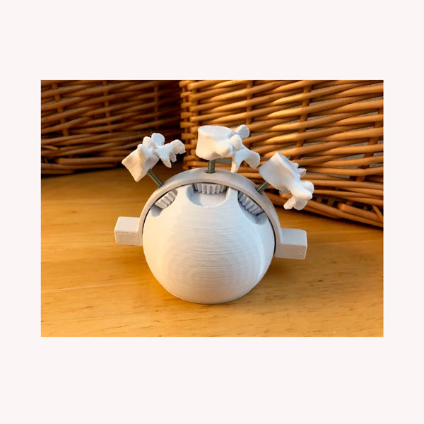 Leyes de Fryette Herramienta didáctica