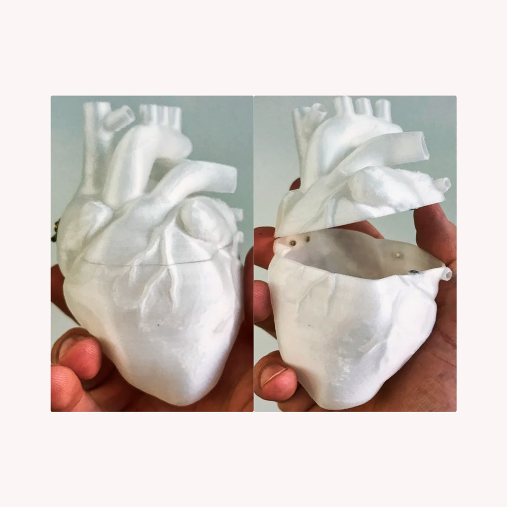 Modelo anatómico de corazón real impreso en 3D