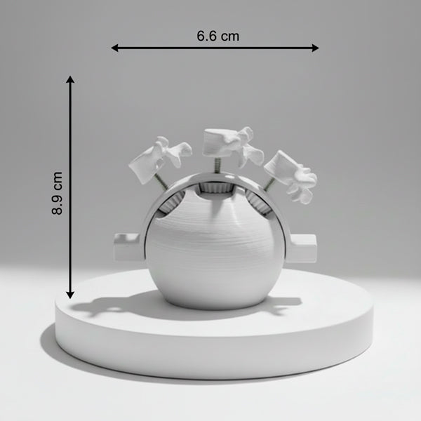 Leyes de Fryette Herramienta didáctica