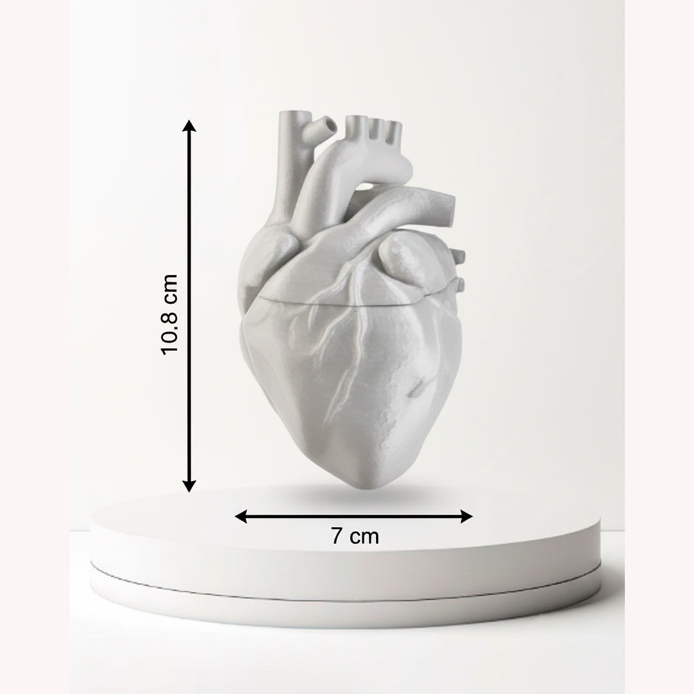 Modelo anatómico de corazón real impreso en 3D